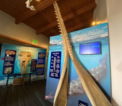 point vicente interpretive center_7