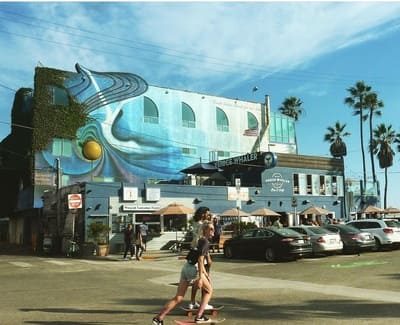 venice whaler_15
