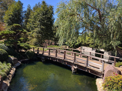 Japanese Garden_Van Nuys_7